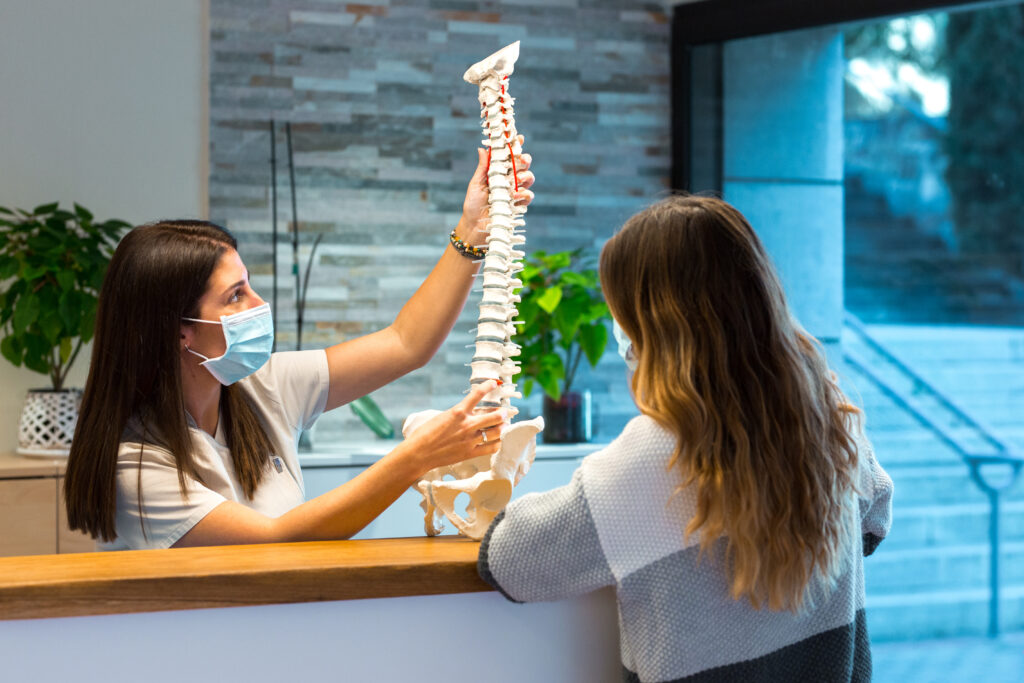 Female doctor showing a spine model to a patient during a consultation at the physiotherapy center.