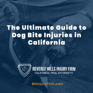 The Ultimate Guide to Dog Bite Injuries in California