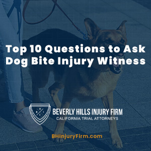 Top 10 Questions to Ask Dog Bite Injury Witness